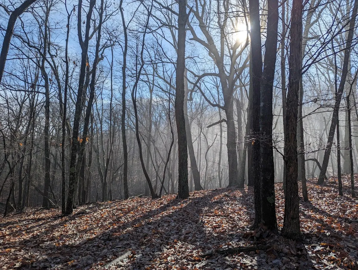 Grindstone Trail