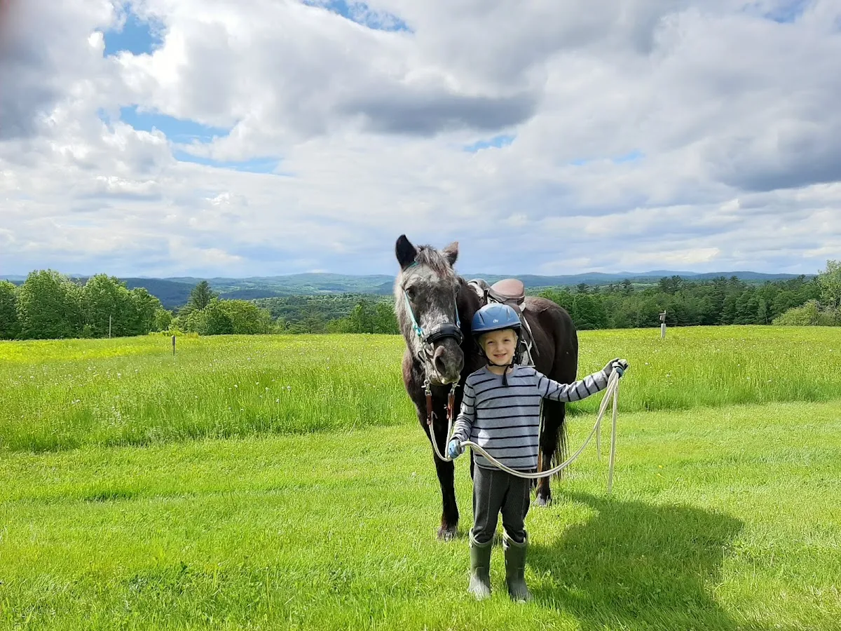 Langwood Farm/Top of the World