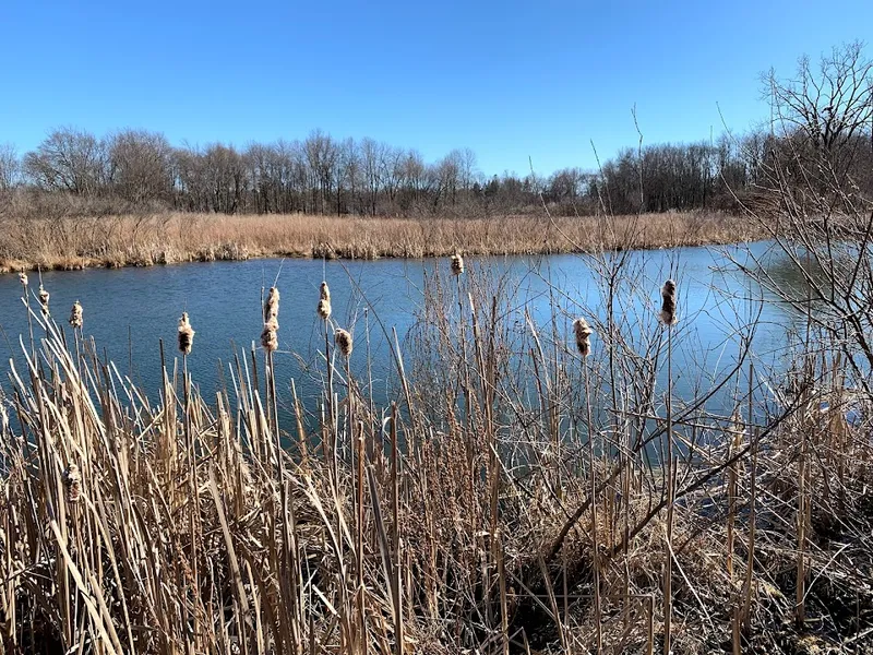 Hunter Farm Preserve