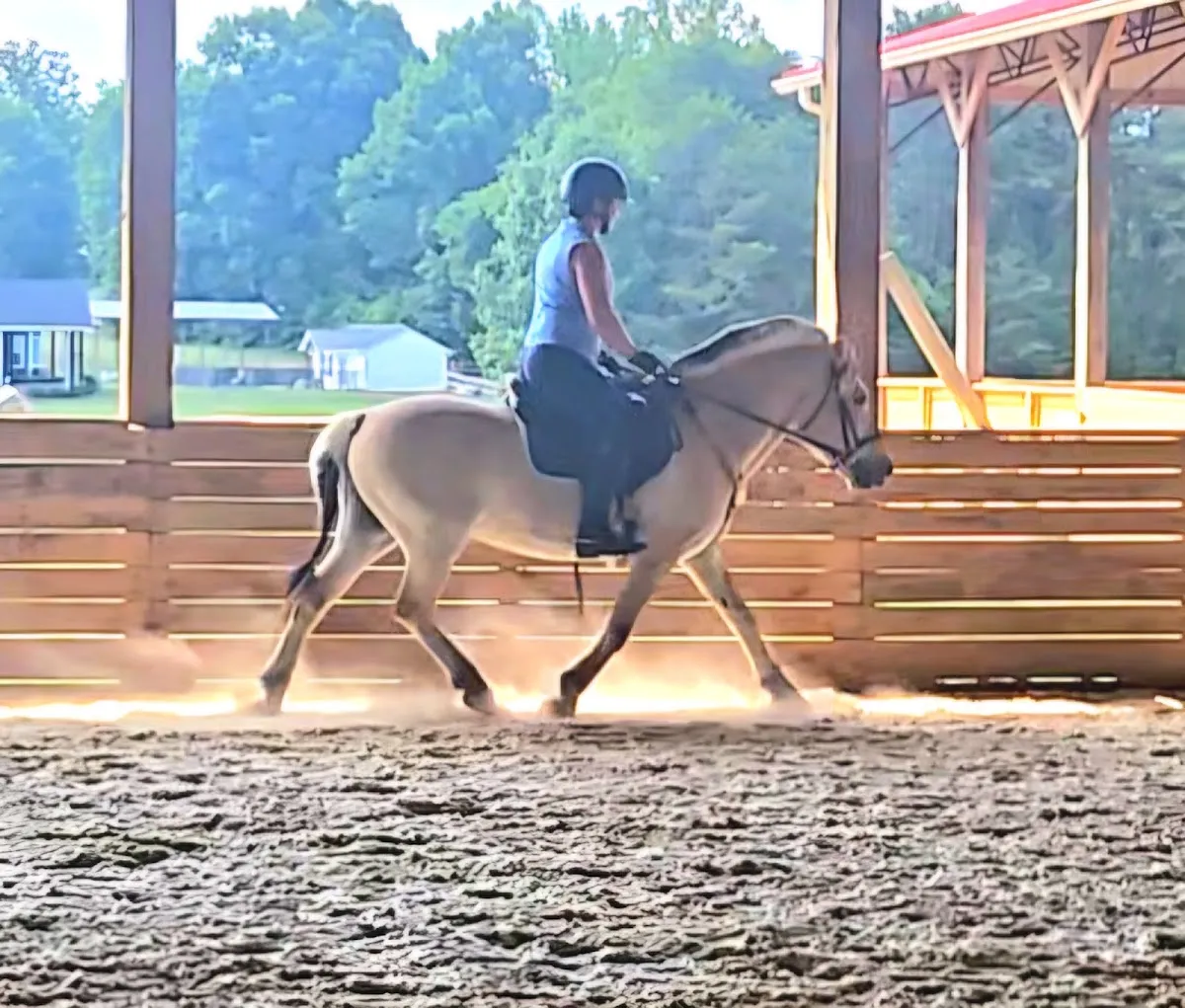 North Carolina Equestrian Center