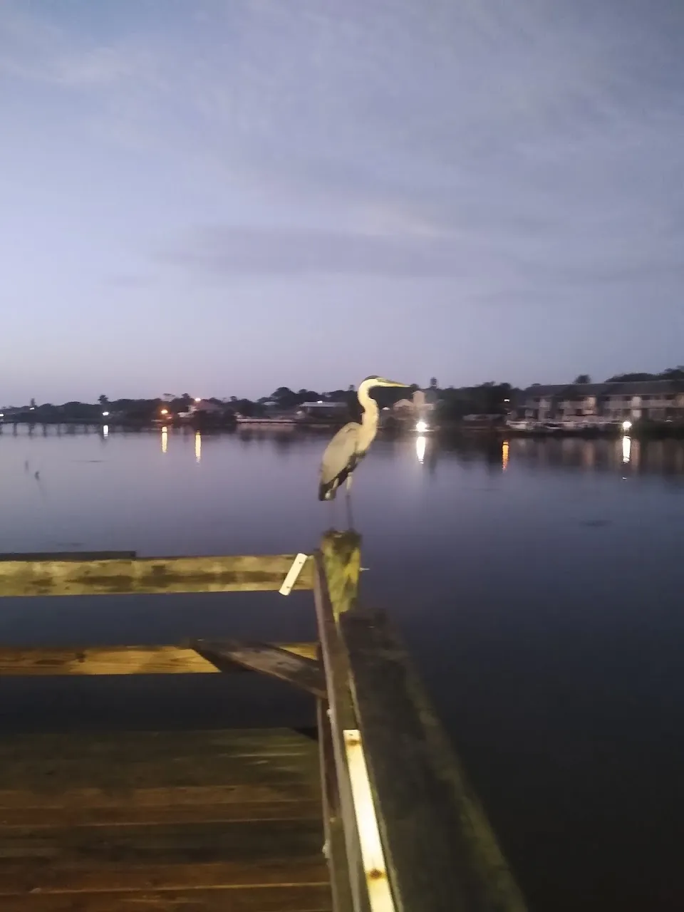 Edgewater River Guide