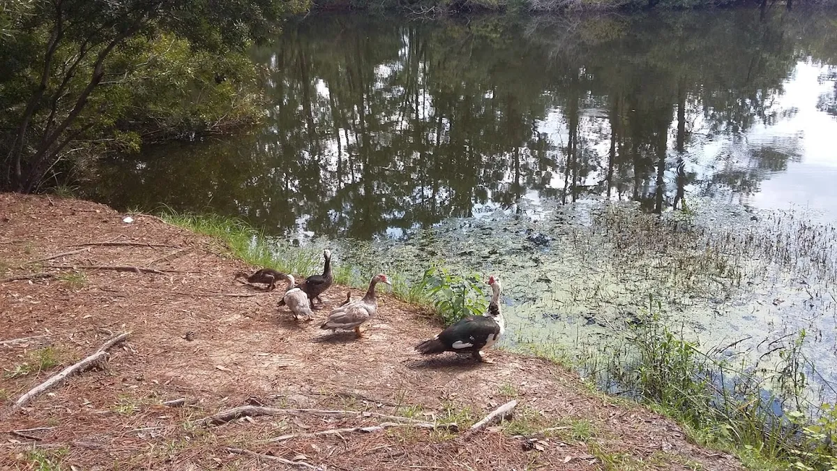 Northwoods Park