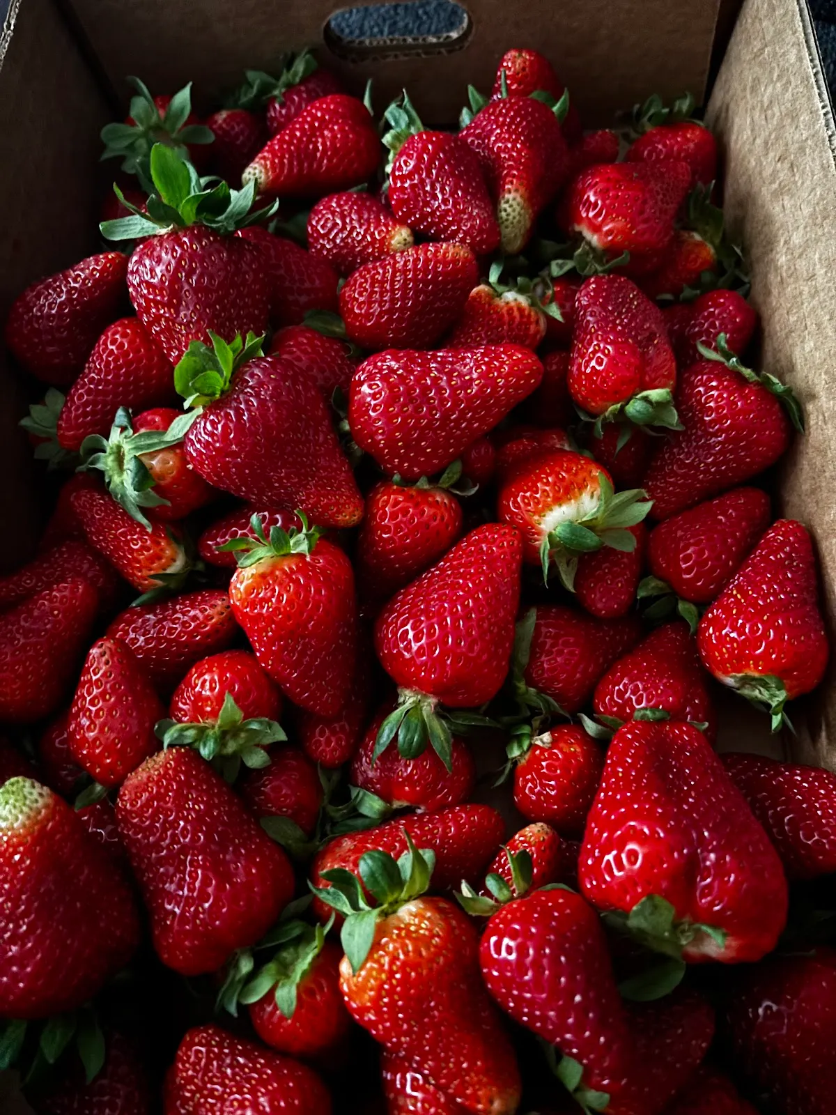 Mabe's Berry Farm