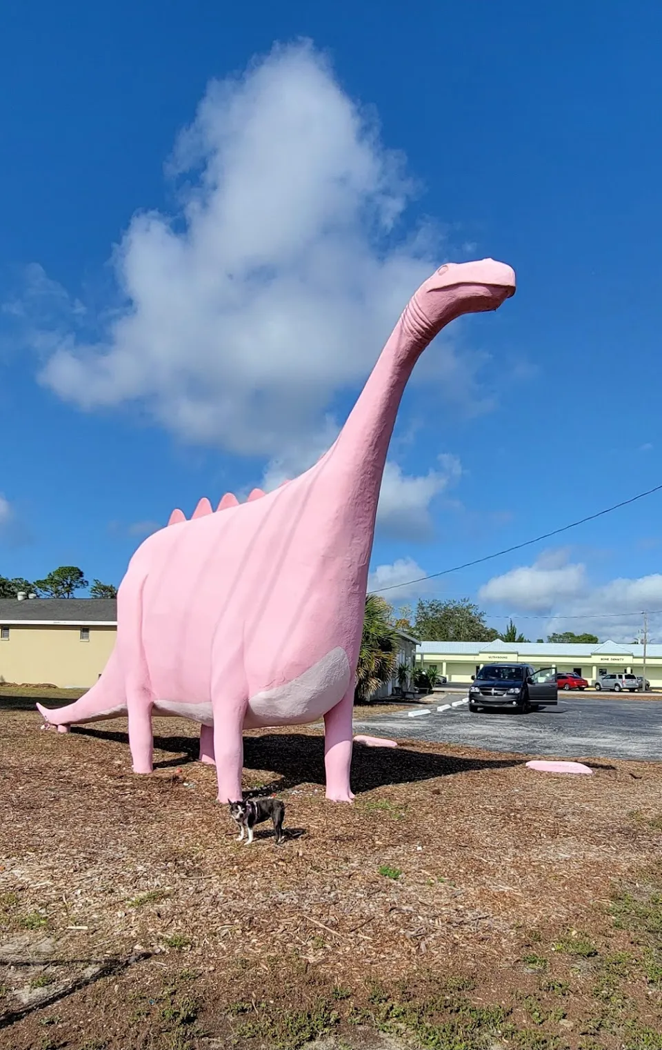 Spring Hill Pink Dinosaur