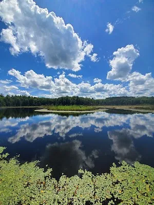 Looking Glass Pond