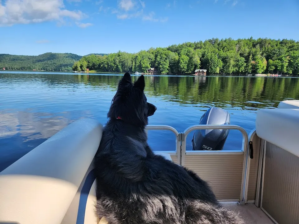 Big Moose Lake