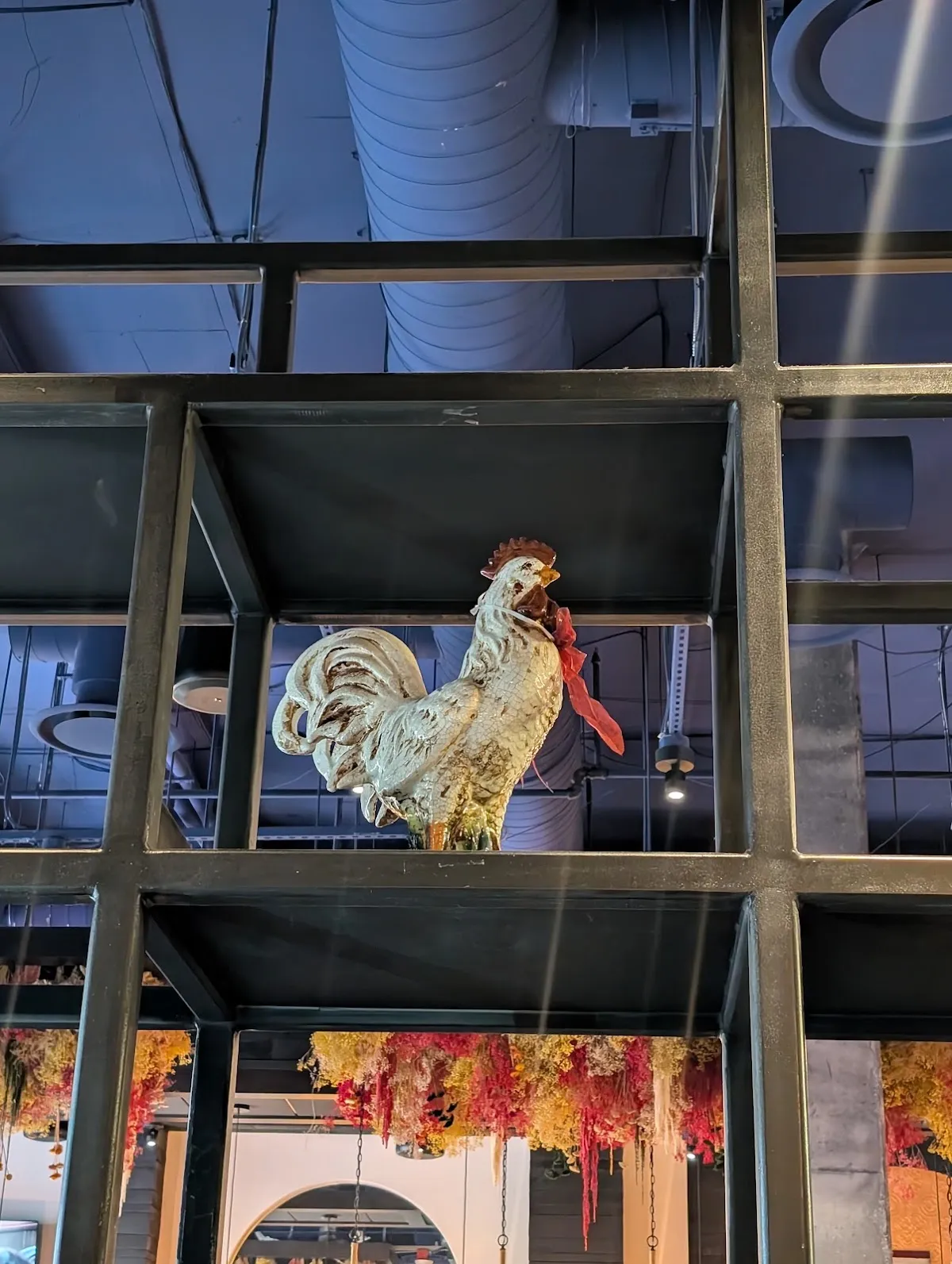 Iron Rooster College Park