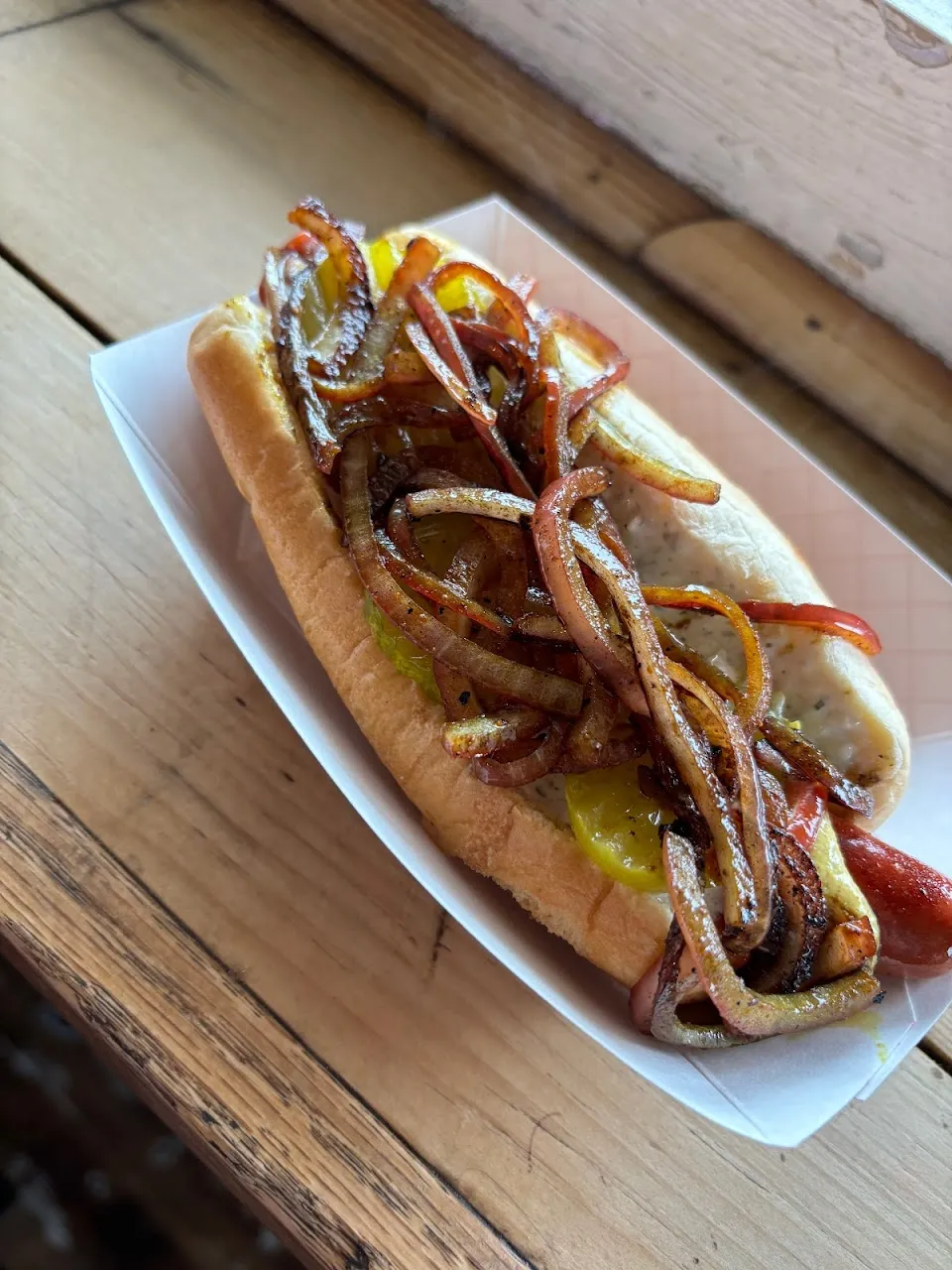 HolyDog
