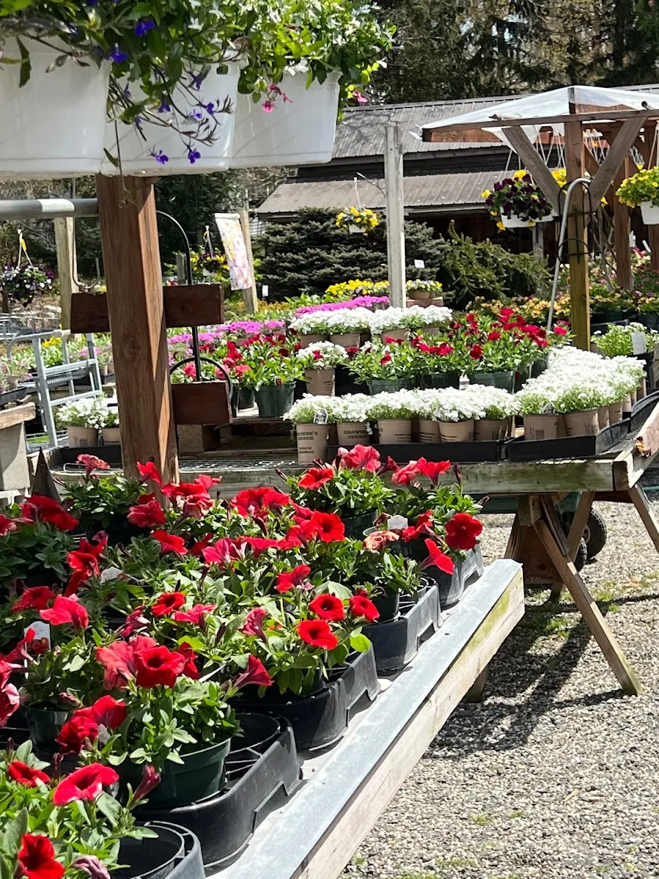 Twin Ponds Greenhouses