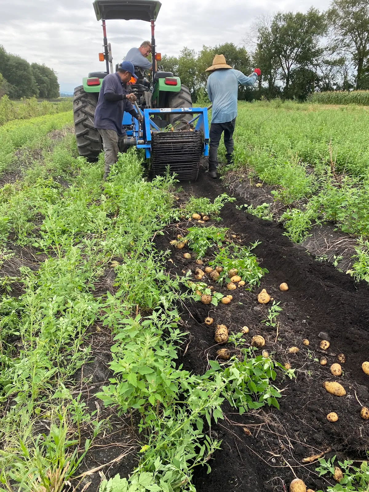 Ricky’s Farm Inc