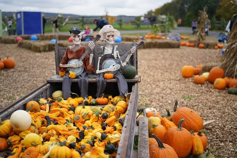 Pierson's Farm, a family place for making memories!