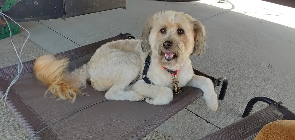 Nature Coast Pet Spa