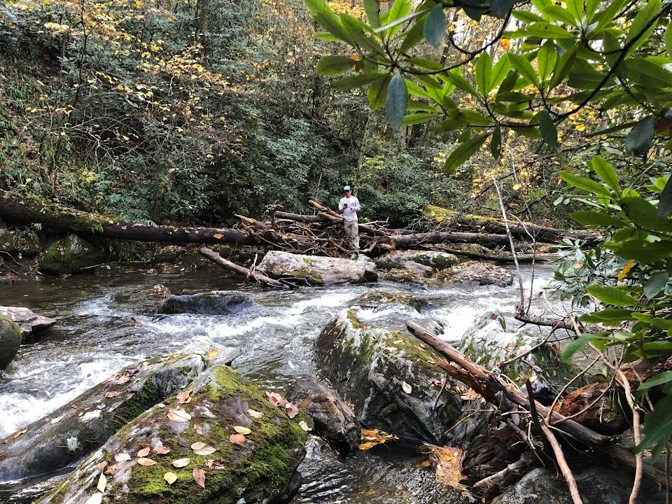 Darnell Falls