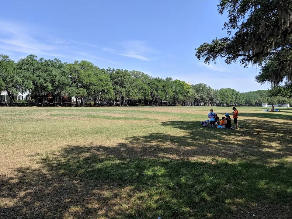 Candler Oak