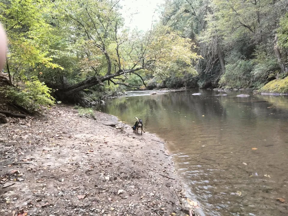 Nichols Campground