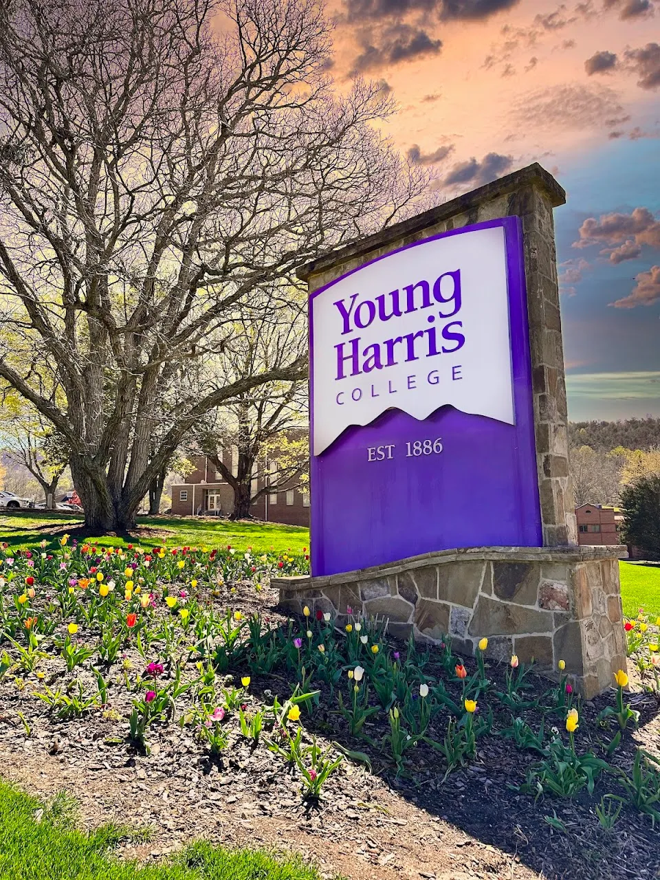Young Harris College
