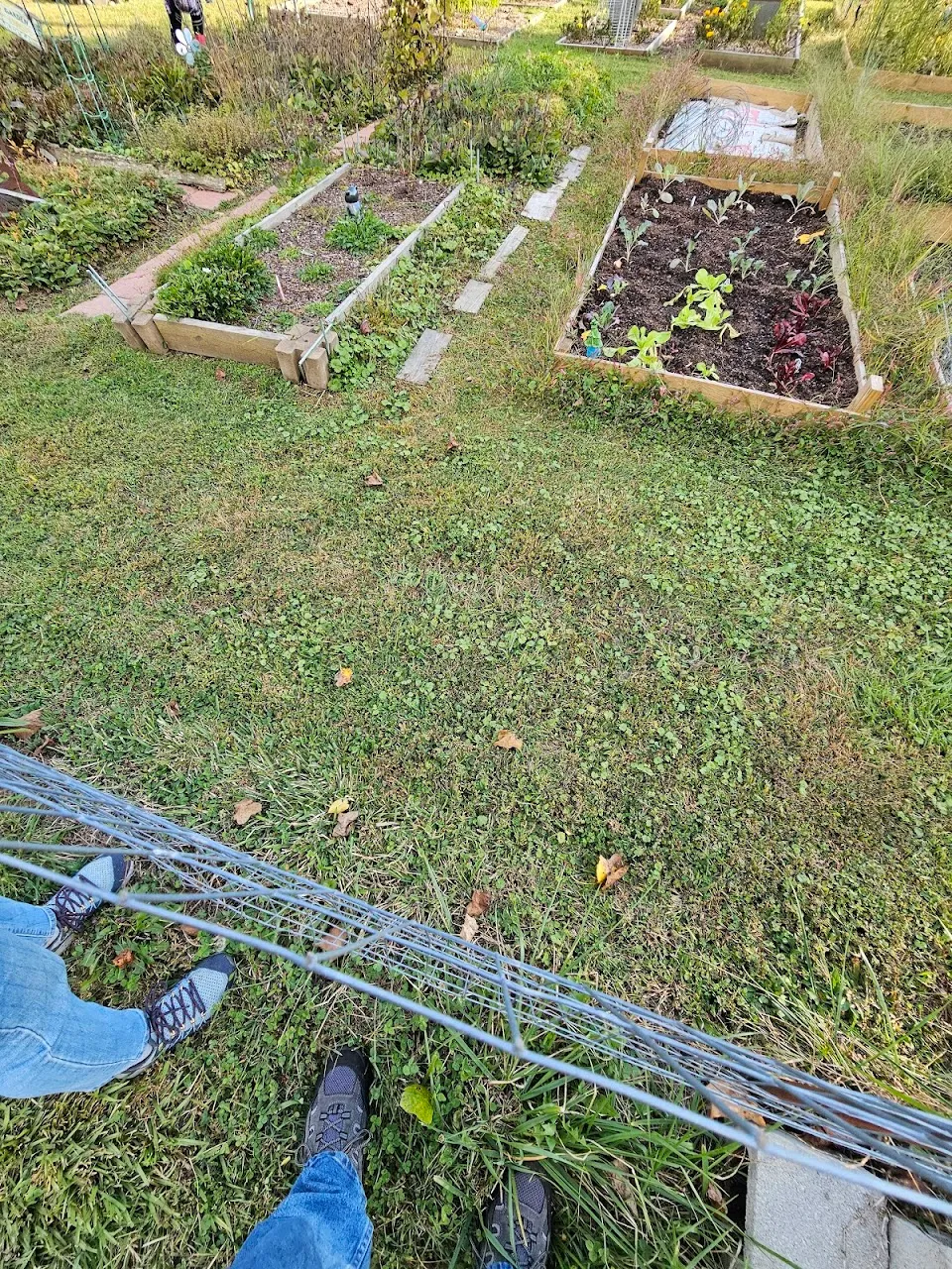 The Old School Garden