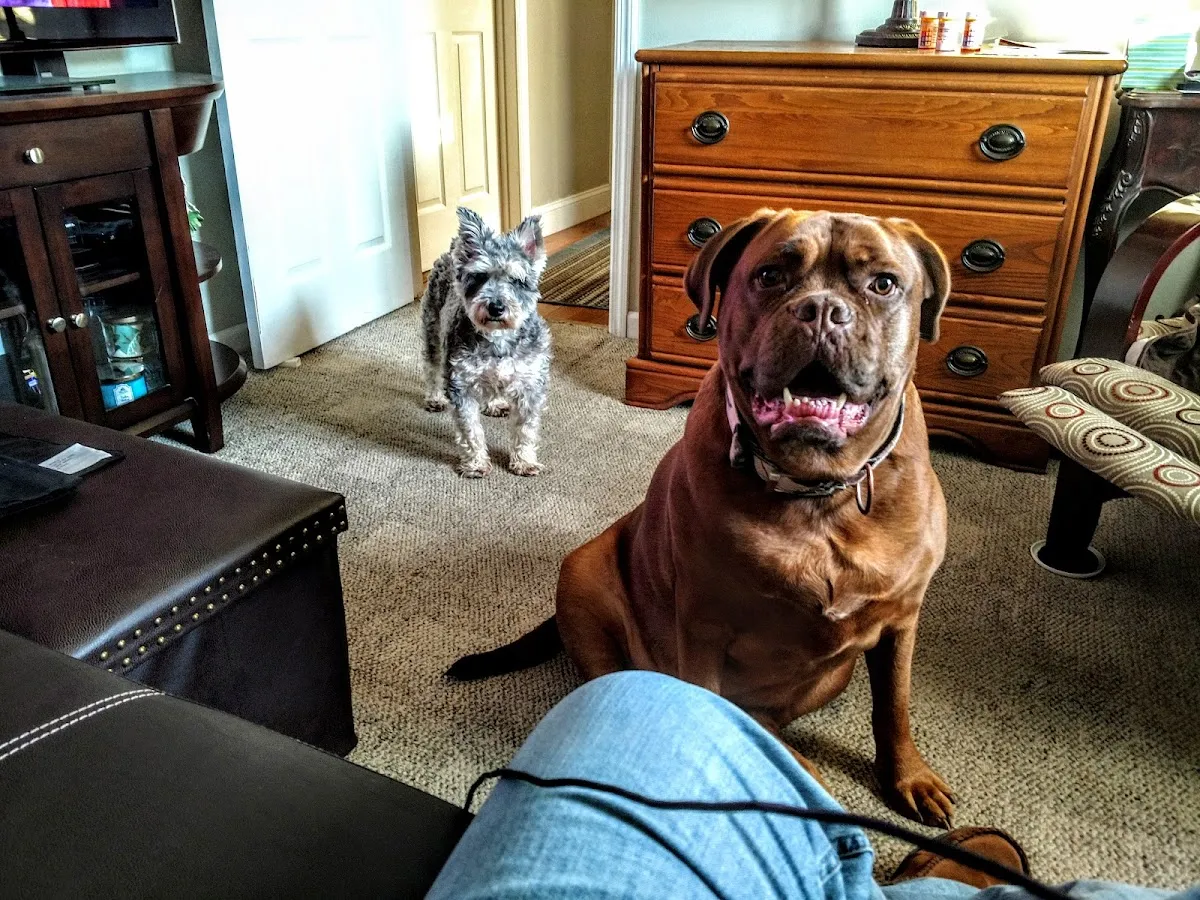 Brooksville Acres Pet Resort & SPA