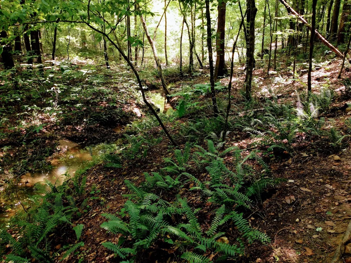 Etowah Hiking Trail