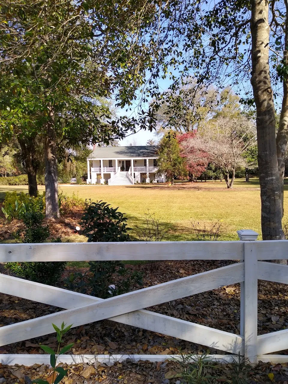 Red Doe Plantation