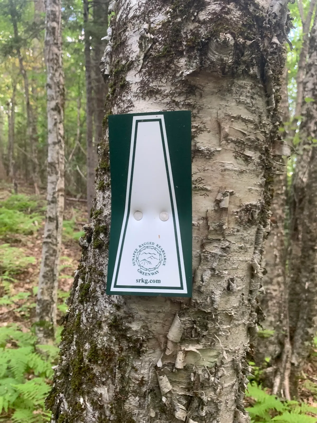 Fishers Field Trail