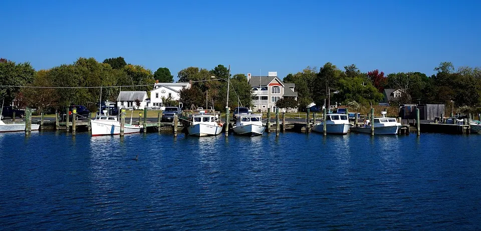 Dogwood Harbor