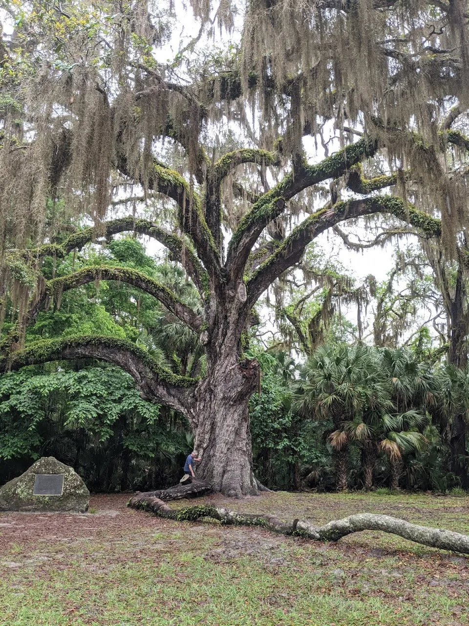 Bulow Creek State Park