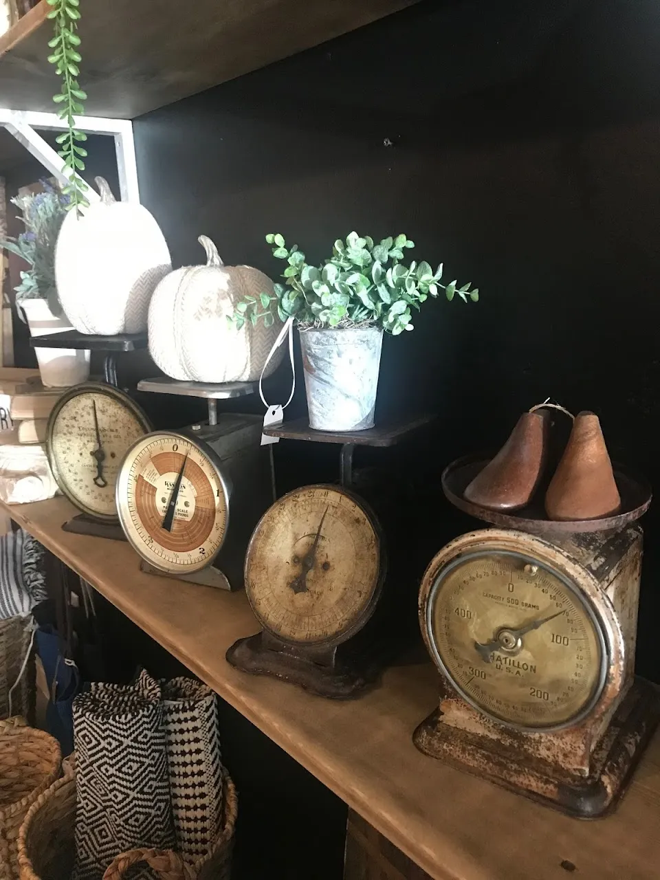 Lady Rustic