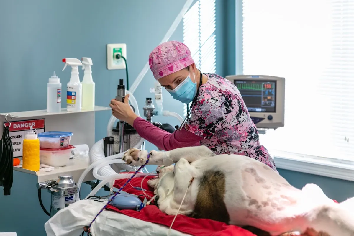 Sugar River Animal Hospital
