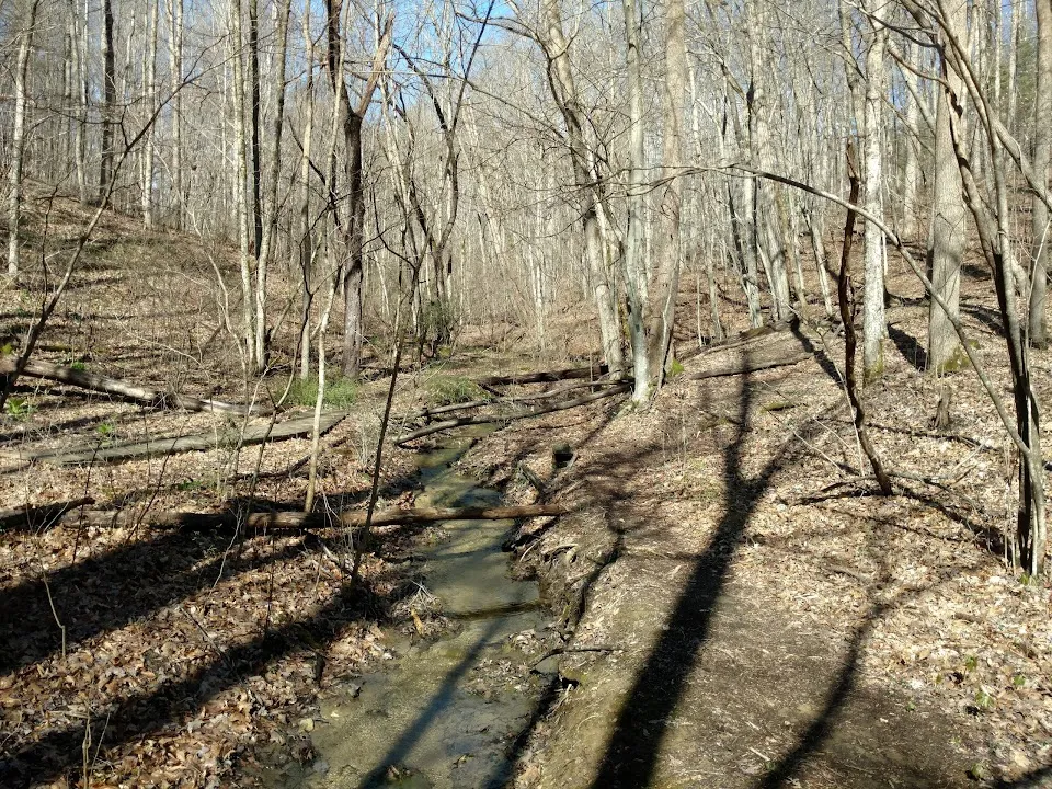 Golden Hills Disc Golf Course