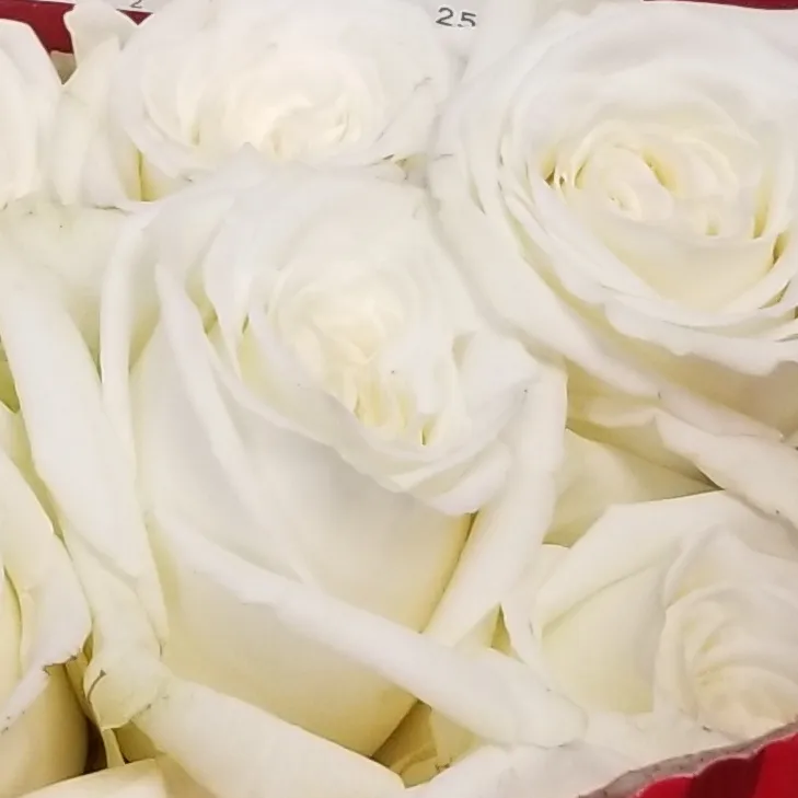 Mary's Flowers and Gifts , LLC
