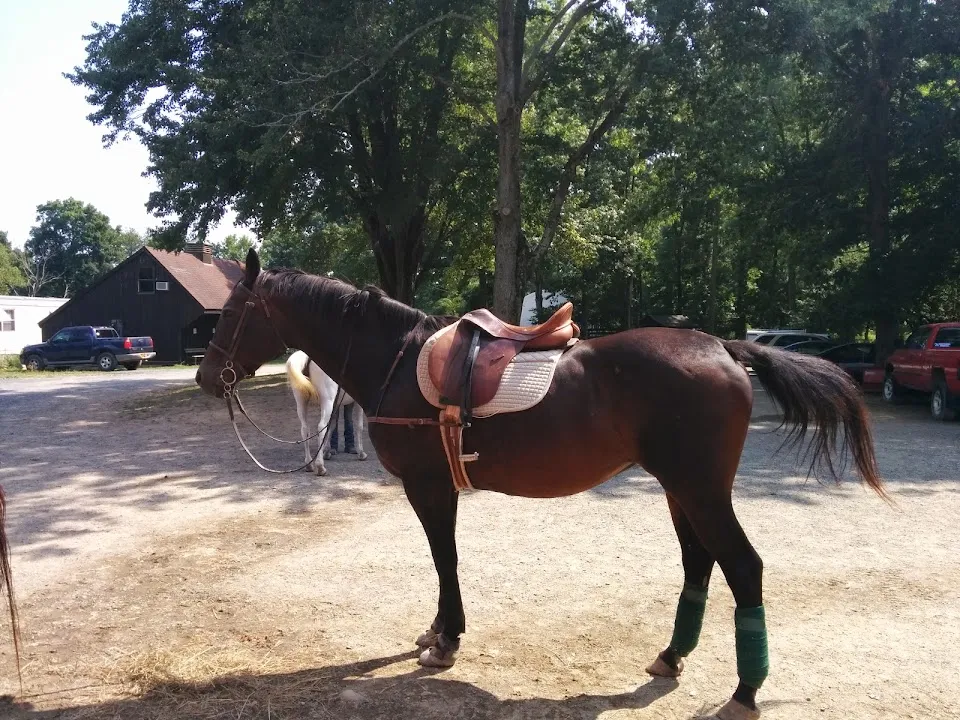 Saddle Brook Farm Animal Rescue