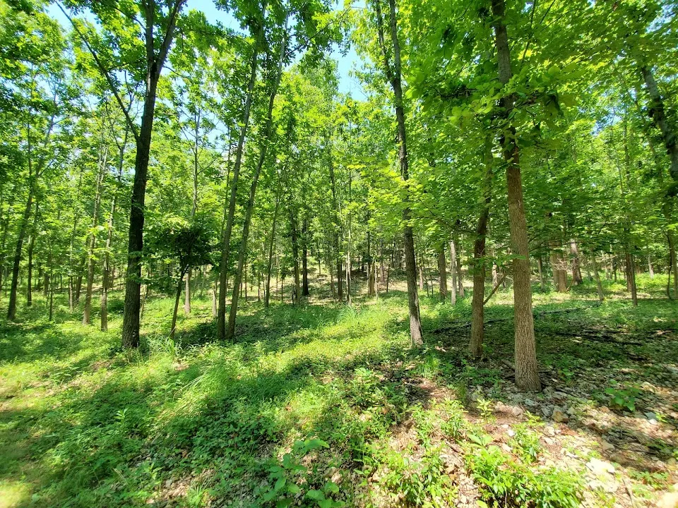 J T Nickel Family Nature And Wildlife Preserve