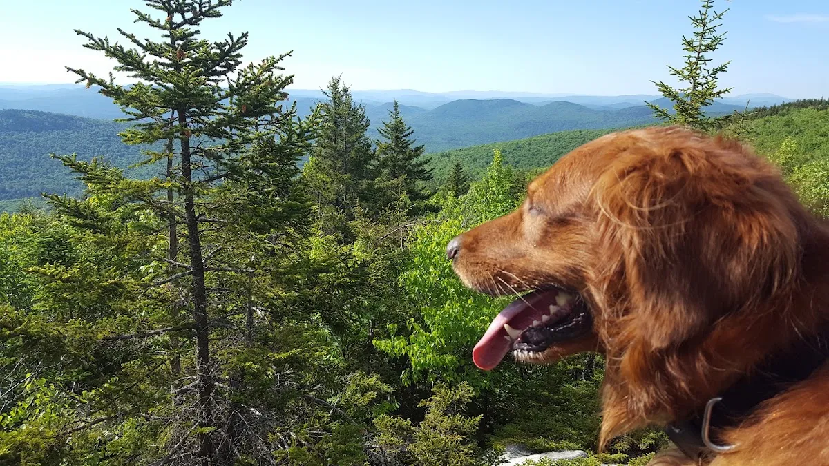 Monadnock-Sunapee Greenway Trail