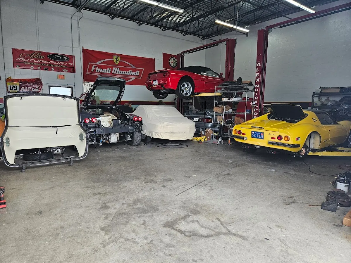 Alex Motorsports European Specialist