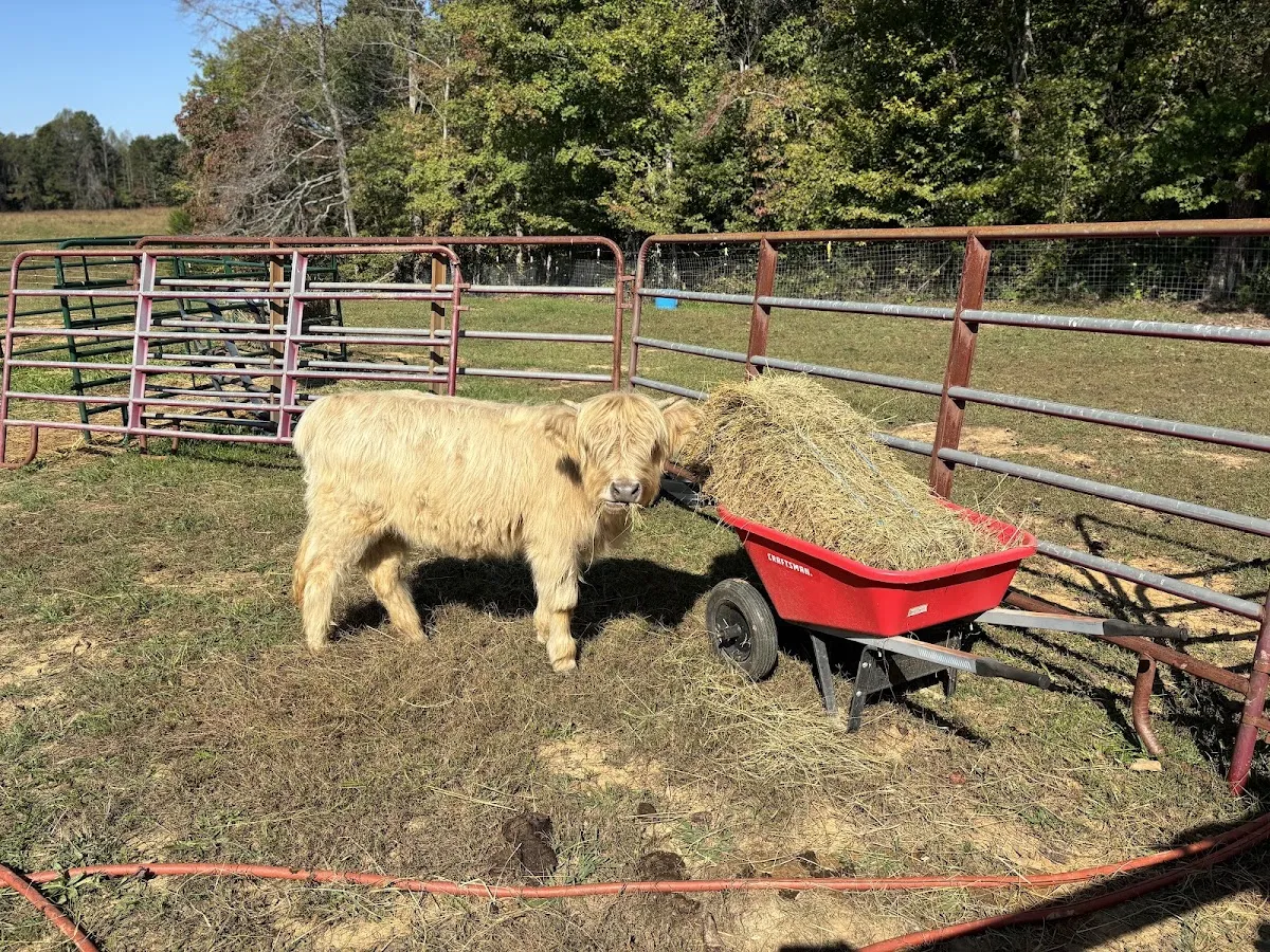 Blooming Acres Farm of NC