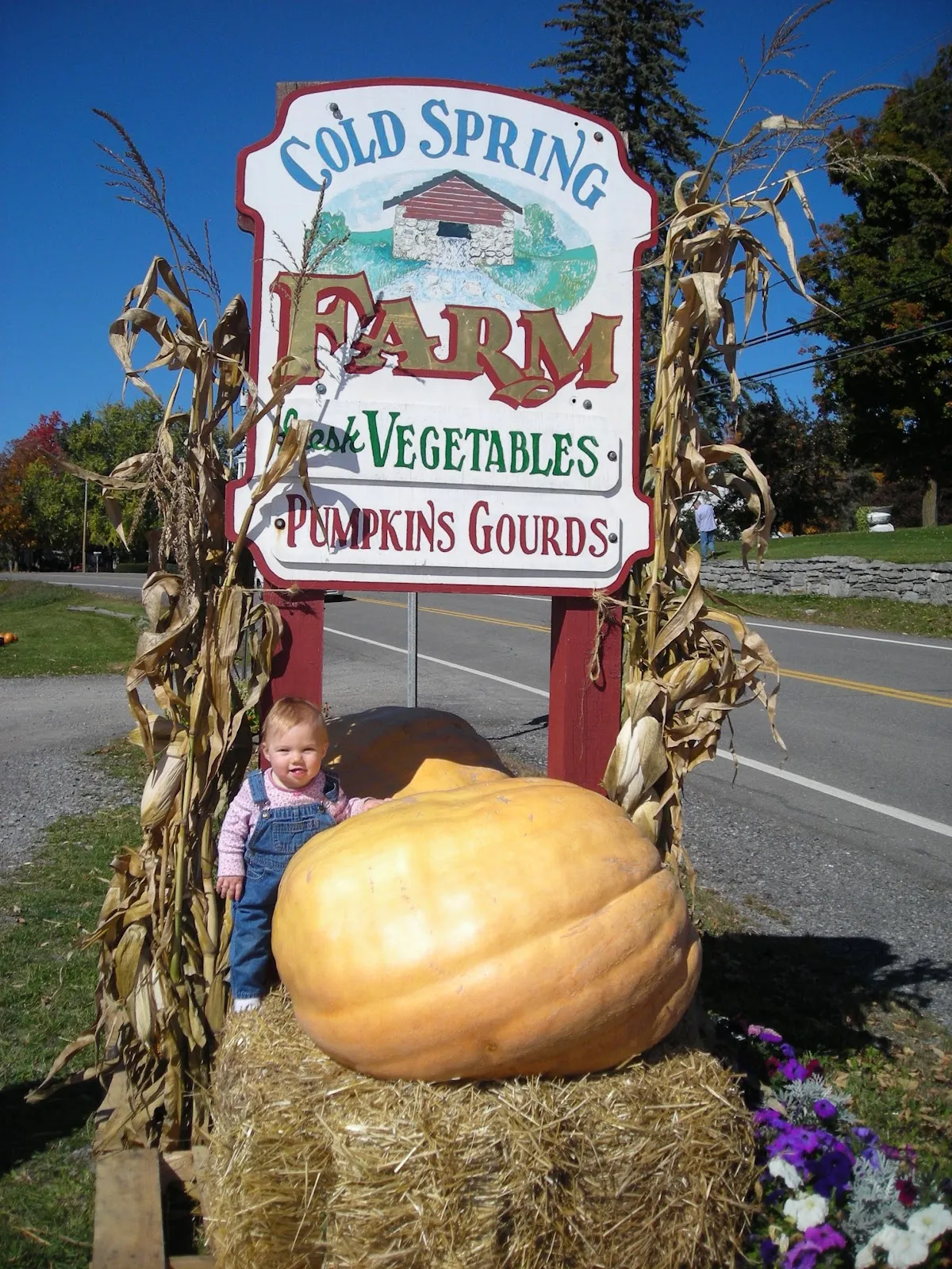 Cold Spring Farm