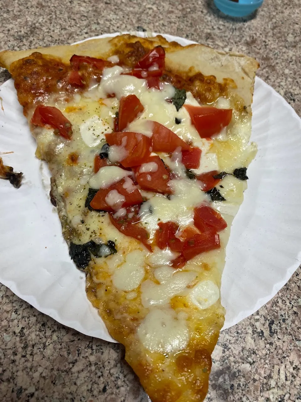Village Pizzeria