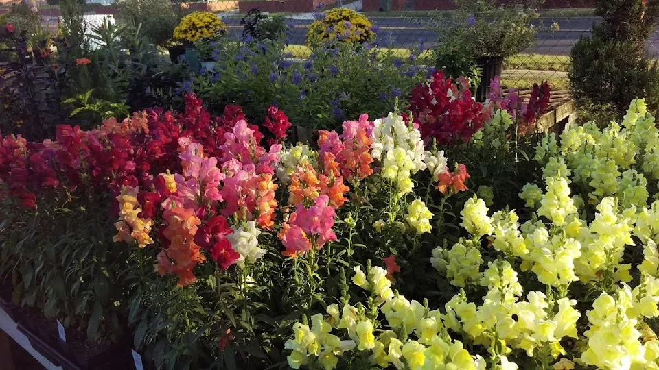 Plant Depot and Gifts