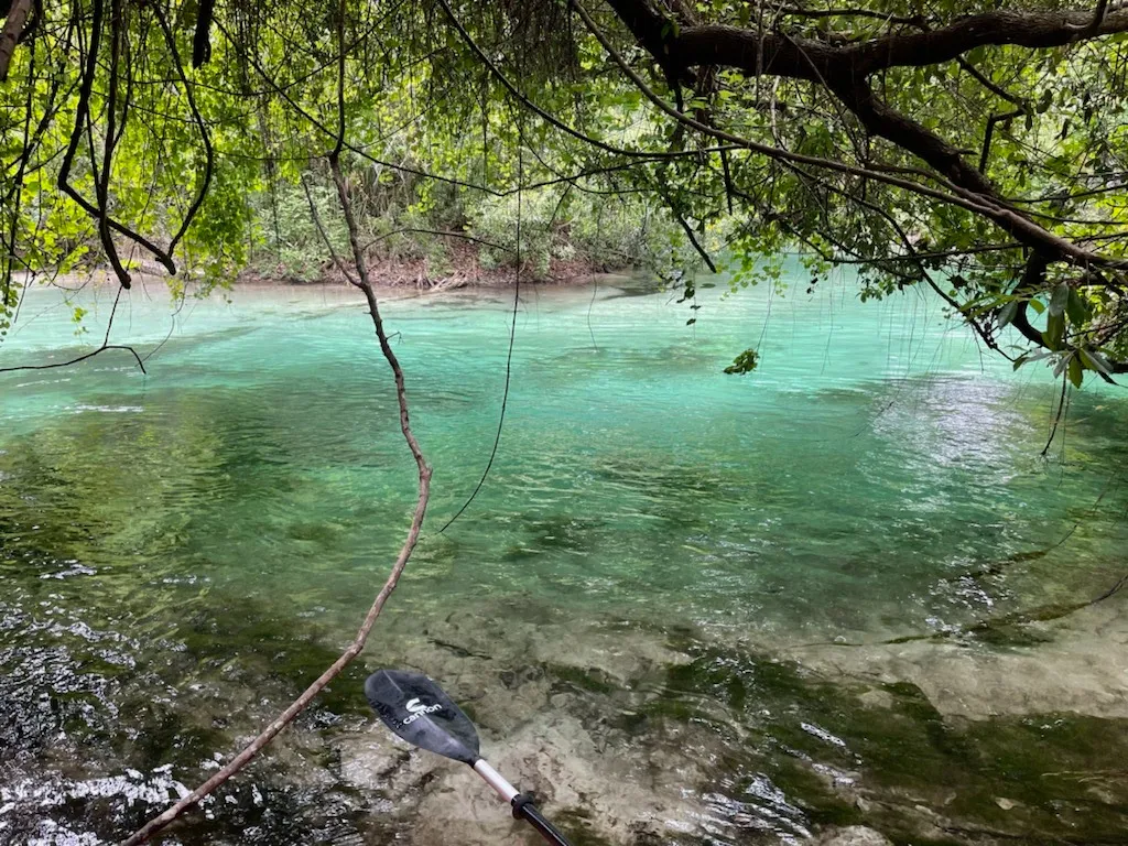 Weeki Wachee River