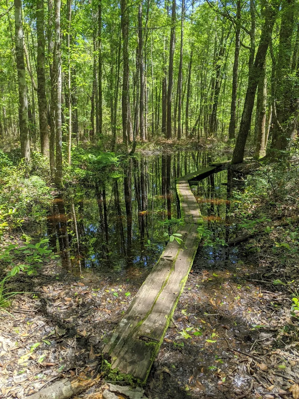 Lake Moultrie Passage Trailhead