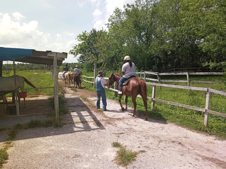 Shenandoah Stables
