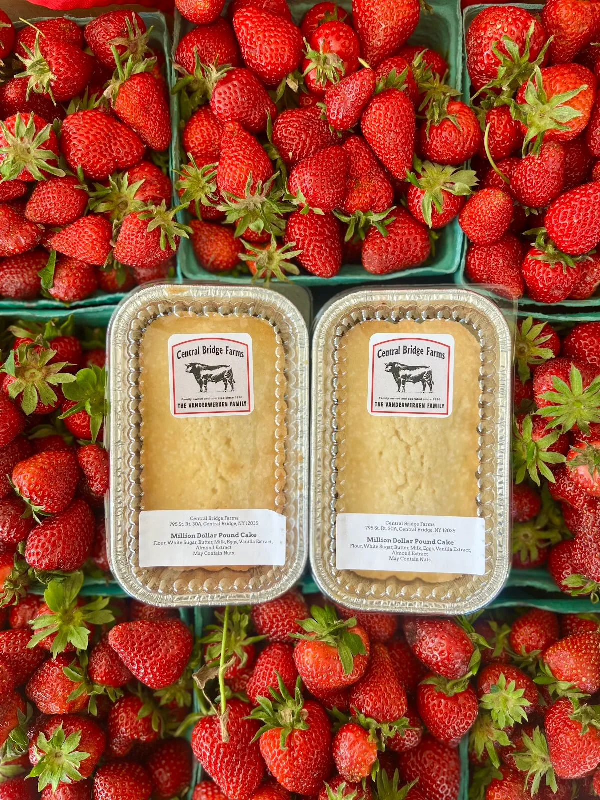Central Bridge Farms