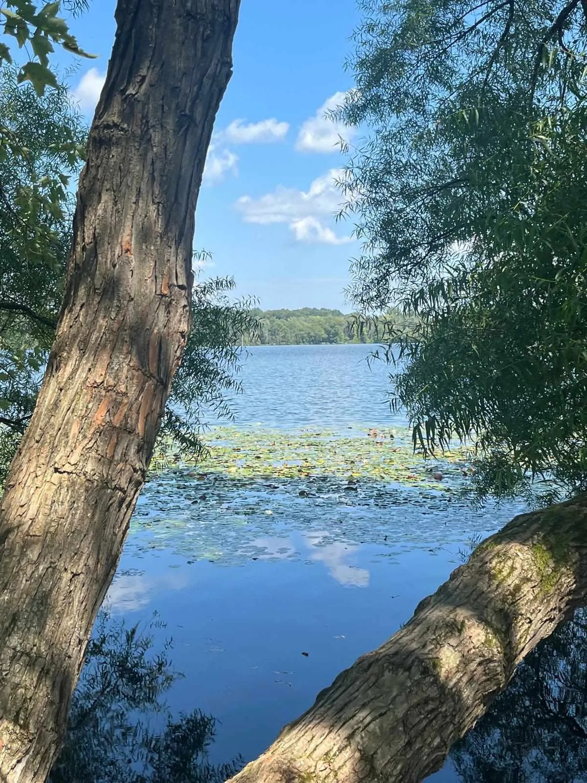 Warwick Watersports ny