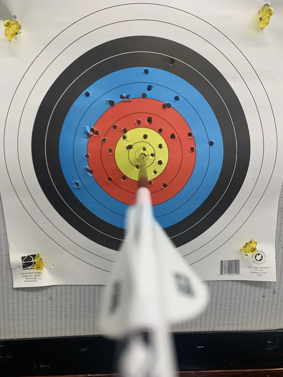 Untamed Archery