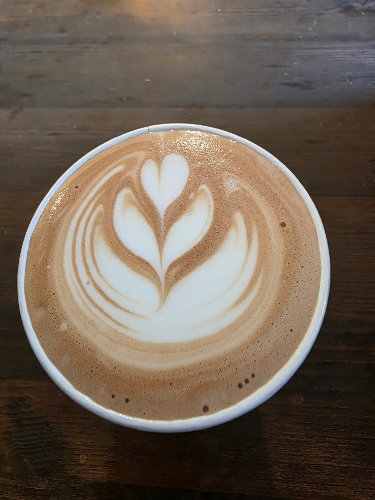 Wisteria Coffee Company