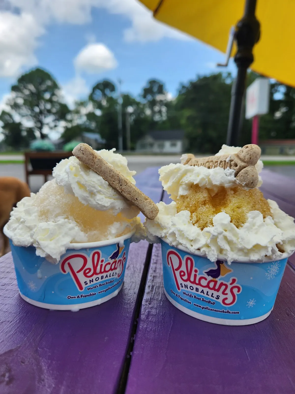 Pelican’s SnoBalls: Portland,TN