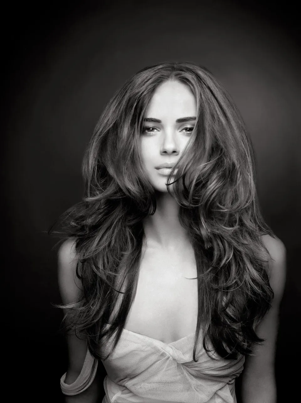 BlowDry 427
