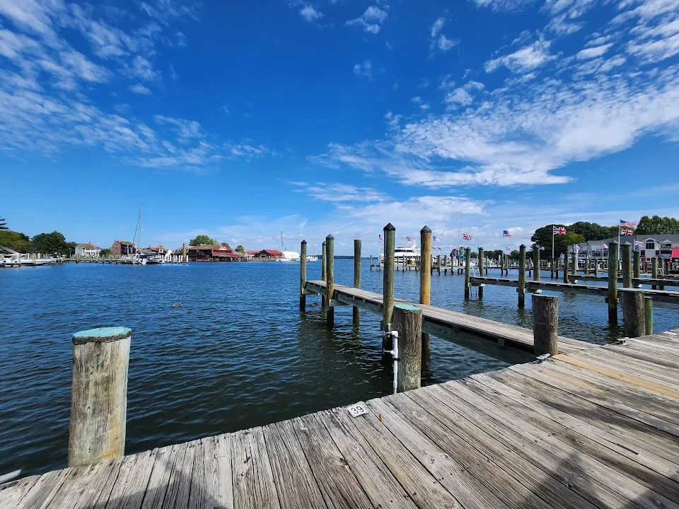 Foxy's Harbor Grille