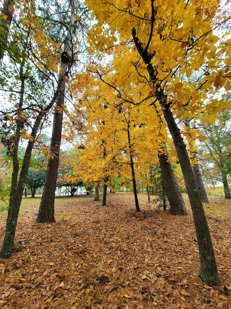 St. James III Park